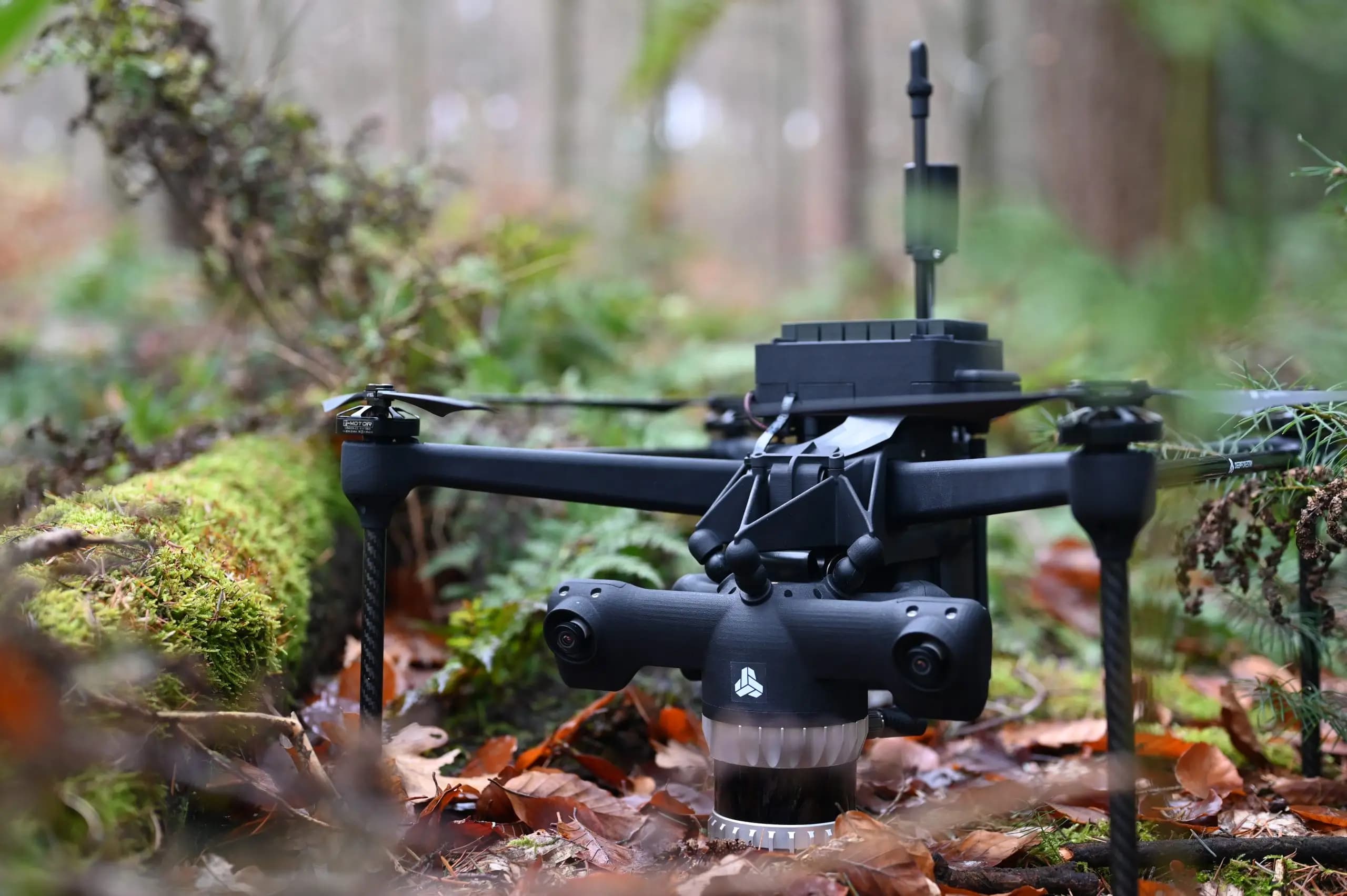 Deep Forestry